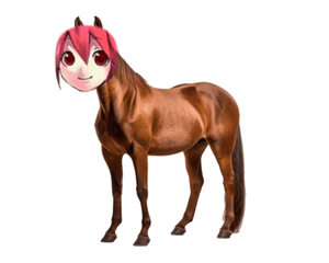 1000008764.png