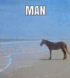 IMG_3238.jpeg