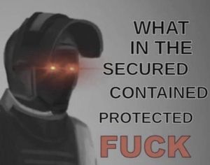 What in the secured contained protected fuck.jpeg