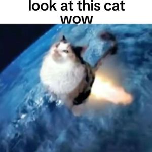 catto.strophic-20250509_185819-3076811360.jpg