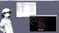 desktop_tomo.png