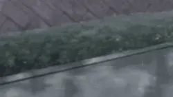 meeting.gif